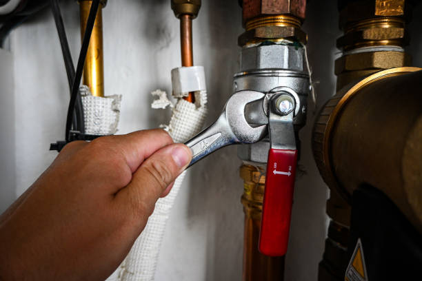 Best Water Softener Installation  in Fanning Springs, FL